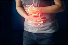 The digestive system is a group of organs working together to convert food into energy and basic nutrients to feed the entire body. What Causes Your Digestive System Weak And Unhealthy