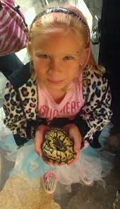 Babies Ball Pythons Baby Ball Python Baby Ball Ball Python