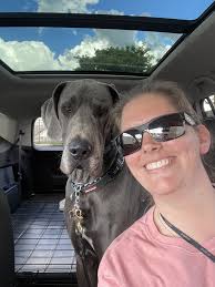 Who's the best dog trainer in the Bremerton area?