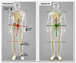Understanding lower back anatomy is key to understanding the root of lower back and hip pain. Lower Back Pain Coastal Podiatry