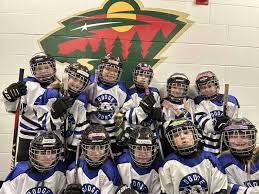 Dodge County Youth Hockey...