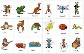 How many words do you know? 160 Nama Hewan Dalam Bahasa Inggris Dari A Z