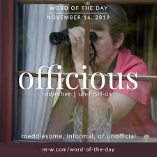 Word Of The Day Officious Words Matter Unusual Words Words
