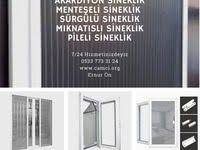 Sineklik Panosundaki Pin