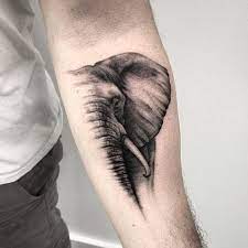 60 Best Elephant Tattoos Meanings Ideas And Designs Elephant Tattoos Elephant Tattoo Elephant Tattoo Design