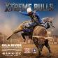 PRCA Xtreme Bulls