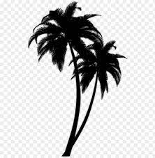 Black Palm Tree Png Image With Transparent Background Toppng To created add 40 pieces, transparent palm tree images of your project files with the background cleaned.