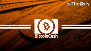 16, binance, one of the largest players among crypto exchanges, opted to stay neutral in the fight: Is Bitcoin Cash Bch Dead What Happened With Bch After The Hard Fork Oofy