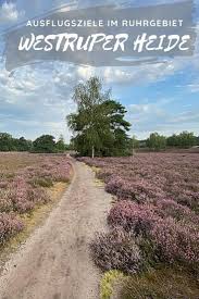 Westruper Heide Heideblute Und Wandern Im Munsterland Ausflug Reiseziele Schone Orte