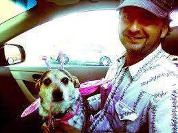 Mini blue heeler mix rescue dog