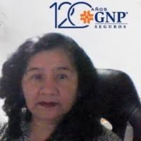 60+ perfiles de «Elsa Alvarado»