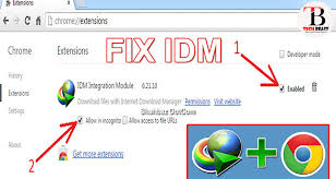So, please don't download idm extension from chrome web store or anywhere else on the web. How To Add Google Chrome Idm Integration Module Extension