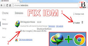 How To Add Google Chrome Idm Integration Module Extension