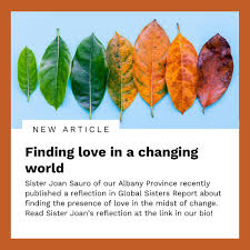 Sister Joan Sauro, CSJ of our Albany Province published a reflection in  Global Sisters Report about finding the presence of love in the midst of  change. Read Sister Joan's reflection "Finding love