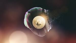 Literally ever since bitcoin first came on the scene, it's been incredibly volatile. Here Is The Enduring History Lesson Of The Bitcoin Collapse By Robert Glazer Medium