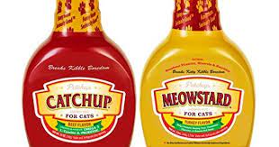 Petchup Nutritional Gravy Food Topper Condiment For Cats The Perfect Dry Cat Food Complement With Brand New Formu Food Topper Holistic Cat Food Dry Cat Food