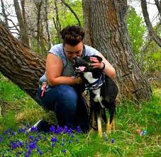 Woman Finds Scared Dog In Road With The Saddest Message On Her Tag Dogs Animal Rescue Stories Big Dog Little Dog