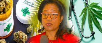 MEDICAL GANJA TO BE MANAGED WITHIN A REGULATED SYSTEM, SAYS ST.KITTS-NEVIS  MARIJUANA COMMISSION CHAIR DR HAZEL LAWS