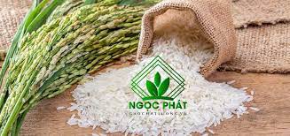 Gạo chất lượng Ngọc Phát | Ho Chi Minh City