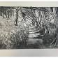 4 week print making course: Tuesdays event image