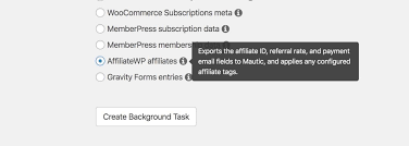 Affiliatewp also displays the total and the individual earnings of the affiliates for your reference. Connect Affiliatewp To Your Crm