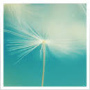 18092483 Bnai Text PROOF