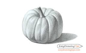 A great deal of information was shared in a concise, easy to follow. How To Draw A Realistic Pumpkin Step By Step Tutorial Easydrawingtips