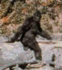 Bigfoot Blank Template Imgflip