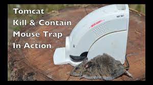 May 05, 2020 · a mouse or rat will normally eat a lethal dose of tomcat bait in a single night's feeding and will begin to die in 1 to 2 days. Tomcat Kill Contain Mouse Trap In Action With Motion Cameras Mouse Trap Monday Youtube