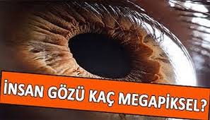 Insan Gozu Kac Megapikseldir Ens Az 4 Dilde Haberler Ve Ansiklopedi