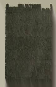 Image result for Eriocaulon teusczii