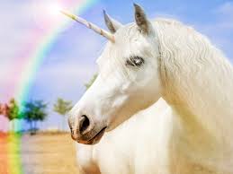 Image result for unicorn