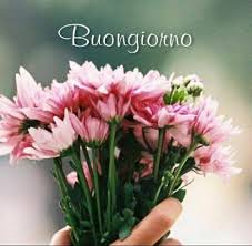 Maybe you would like to learn more about one of these? Immagini Buongiorno Le Migliori Per Whatsapp E Facebook 16 Giugno