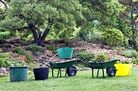 Selbst für den kleinen garten gibt es ein großes, attraktives sortiment, denn vorsicht: Baume Fur Den Garten Kaufen Unsere Tipps Fur Den Richtigen Baum Hausmagazin Com