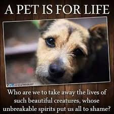 Pets Are Not Disposable Toys That You Throw Away When They Get Old Or Aren T Fun Anymore Or Develop Health Issues Or Any Of The Hundre Animals Pets I Love Dogs