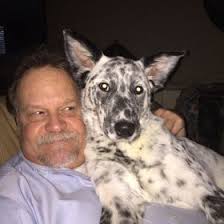 Paul Waldo (paulrwaldo)