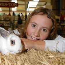 Top 10 Theme Parks near Sunspot Amusements in Woolacombe, Devon