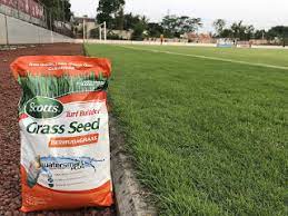 Berpengalaman selama 9 tahun, bibittanaman.id menyediakan berbagai macam rumput hias dengan kualitas no. Oktober 2018 Pusat Biji Rumput