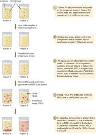 Detecting Antigen Antibody Complexes Microbiology