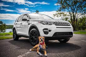 Die Besten Autos Fur Hundebesitzer Der Land Rover Discovery Sport Travall Blog Website