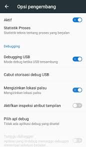 Cara Mengatasi Kuota Internet Lokal Telkomsel Tidak Bisa Dipakai