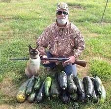 Maybe you would like to learn more about one of these? Opening Day Of Zucchini Season Imgur