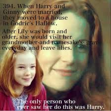 The Only Person Who Ever Saw Her Do This Was Harry Harry Potter Obsession Harry Potter Universal Harry Potter Fandom