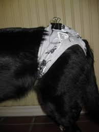 All you need are some basic supplies (fabric, yarn, a sewing machine, or even just a needle and thread). Incontinent Dogs Learn More About Dog Diaper Options