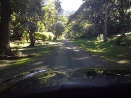 Image result for fiji islands