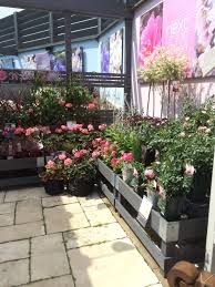 Next Home Amp Garden Home Decorating Centre Garden Lifestyle Layout Landscape Customer Journey Visual Merchandising Www Cle Tanaman Hiasan