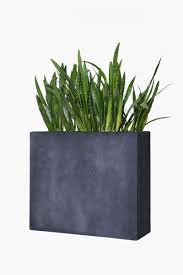 Pflanzkubel Raumteiler Fiberglas Steinoptik Elemento Anthrazit Blumenkubel Pflanzkubel Vivanno Pflanzkubel Fiberglas Pflanzen