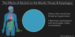 The Effects Of Alcohol On The Body