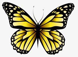 Yellow Butterfly Png Images Transparent Yellow Butterfly Image Download Pngitem