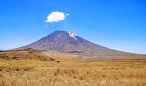 Image result for Hua gabonii